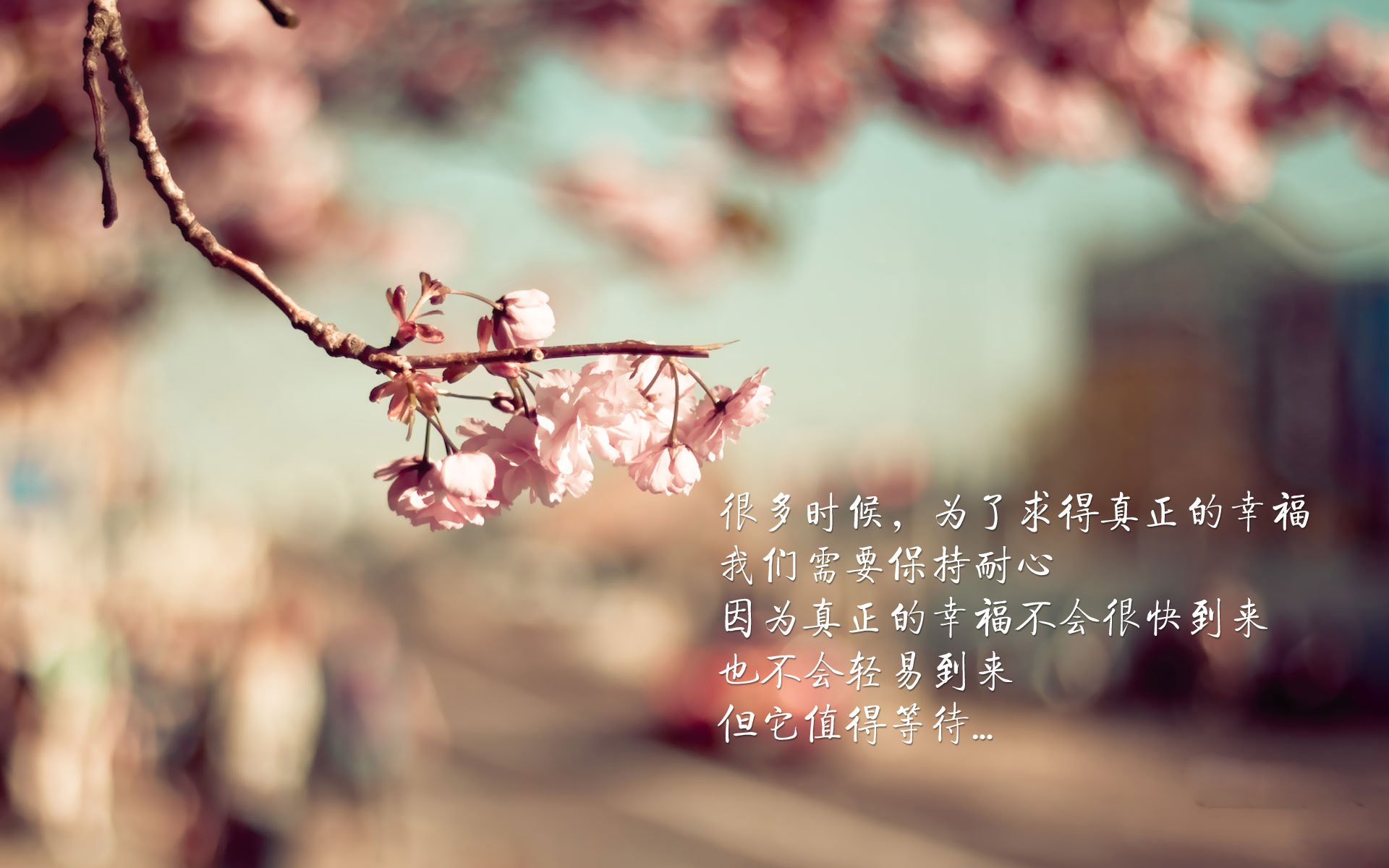 当前钢材价格行情走势（钢材最近价格走势分析）